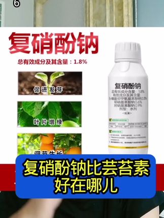 复硝酚钠的使用方法 #复硝酚钠#复硝酚钠的使用方法#复硝酸钠的复配#生根壮苗#分享农业知识帮农民增产增收