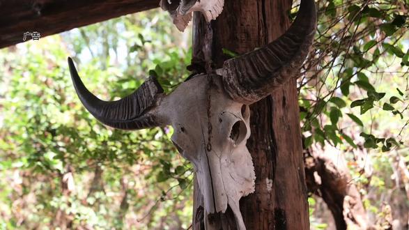 成龙主演电影取景地,你一定要来感受一下#翁丁原始部落#熊猫计划之部落奇遇记#春节出游指南