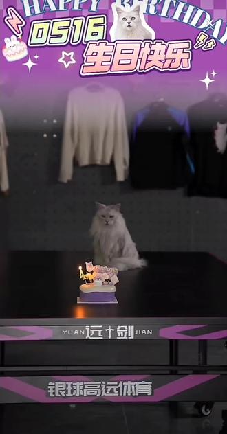 貂蝉宝宝生日快乐🎂🎂要吃好睡好身体好哦
#林高远#远剑 #小猫貂蝉