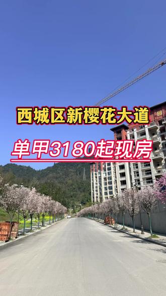 习水西城区新的樱花大道来了#习水