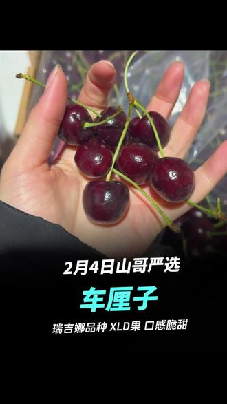 山哥直播严选
今日推荐~【品牌】车厘子
A级果,瑞吉娜品种,XLD
净重10斤
口感脆甜,不变味
价格,💰9?一件#山哥严选 #水果批发 #供应链 #创业 #品质把控