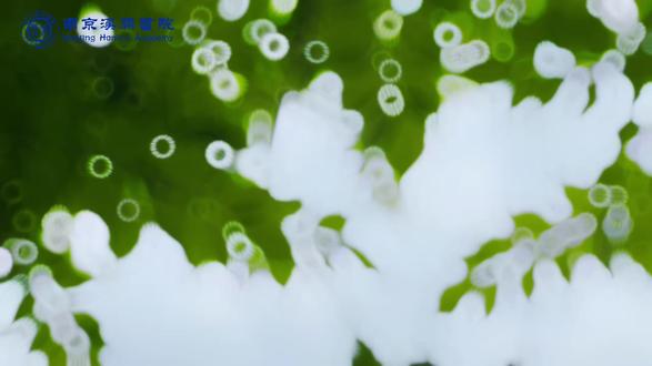 二年级学子共读《大英儿童百科》 在这里,每个孩子都是:
故事的发现者——在阅读中爱上学习,在情节中触摸世界;
知识的建构者——在思考中养成良习,在探索中建立秩序;
思想的分享者——在表达中建立自信,在聆听中发现美好。