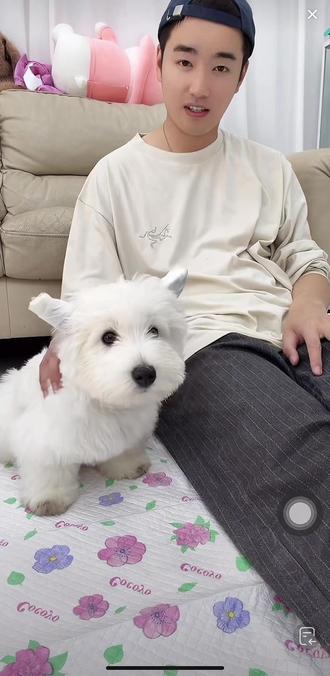 #闫东#直播分享#西高地雪宝 东子和他的西高地~@闫东闫大美人儿