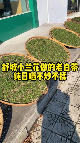 真正要把一款老白茶做好,其实至少要好几个月,所以别看工艺简单,其实是最费功夫的茶,要有耐心。#老白茶 #舒城小兰花 #高山茶 #我的乡村生活
