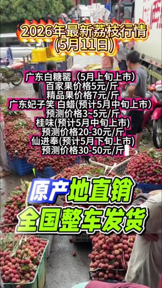 #荔枝#荔枝代办#水果代办#水果经纪人