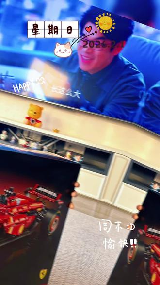 #乐高 法拉利的诞生day1