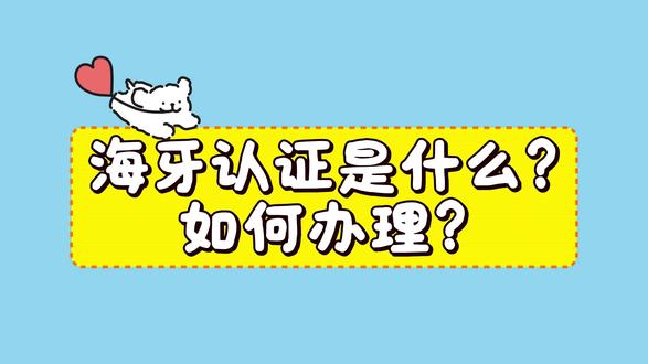 海牙认证是什么?如何办理? #海牙认证 #海牙认证流程 #海牙认证是什么 #海牙认证证书 #海牙认证办理流程