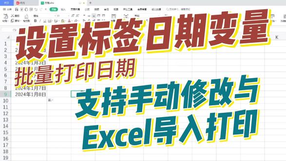 如何设置标签日期变量?支持手动修改与Excel导入打印详解 #打印软件#标签#标签打印机#标签印刷#标签机#标签打印