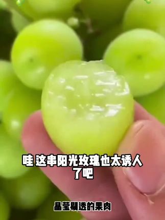 【5斤整箱】阳光玫瑰葡萄新鲜水果晴王香印青提当季顺丰包邮现货#好物推荐#新款必备#精选推荐