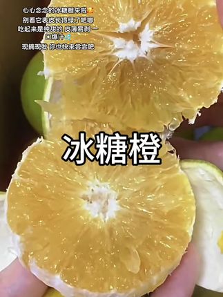 这个云南的冰糖橙这个季节真的几乎没有对手!!皮薄多汁!纯甜无酸!维C满满!应季水果快跟家人一起尝尝#应季水果 #优质农产品 #冰糖橙#新鲜采摘 #口感特别好