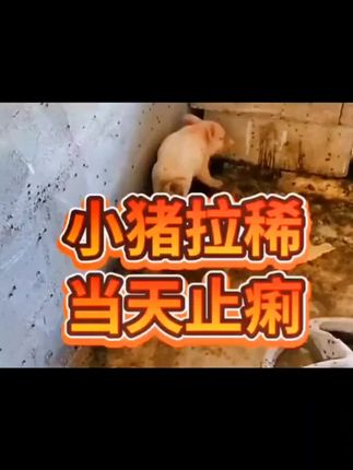 #自繁自养 #好物推荐🔥 #三农 #抖音助农