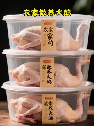 正宗农家散养大雁鹅来了,整一只新鲜现杀现发冷链到家!可炖!可红烧!肉质紧实!好吃划算##大雁鹅 #铁锅炖大鹅 #家常菜 #优质农产品