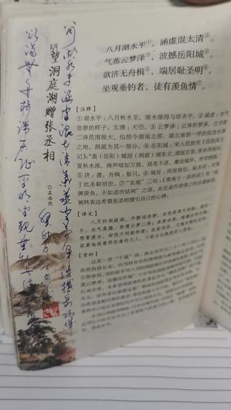 草书唐诗第59首孟浩然望洞庭湖赠张丞相#写字是一种生活 #练字静心 #硬笔书法