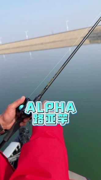 新手总炸线、跑鱼?多半是导环不够顺。阿尔法 PLUS 升级全套富士导环,摩擦更小、出线更丝滑,抛投更轻松,遛鱼更稳定。耐磨抗造寿命更长,一支竿用很久依旧顺滑如初。#路亚 #钓鱼 #莎士比亚路亚竿