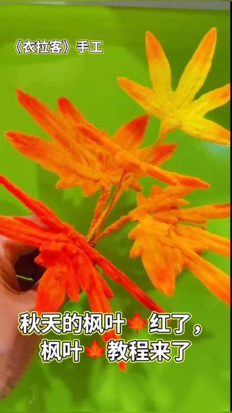 #上热门 枫叶🍁教程来了
#枫叶🍁 #扭扭棒枫叶教程 #扭扭棒的100种玩法 #手工