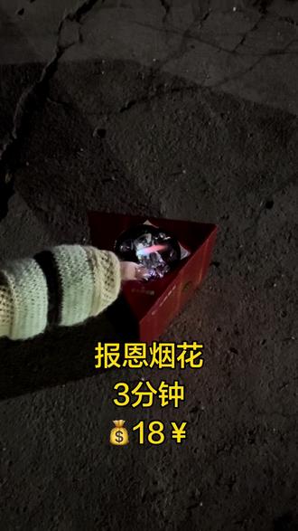 请大家看18💰的烟花200块的效果,记得放完浇点水,⚠️注意安全#三分钟烟花 #新年快乐