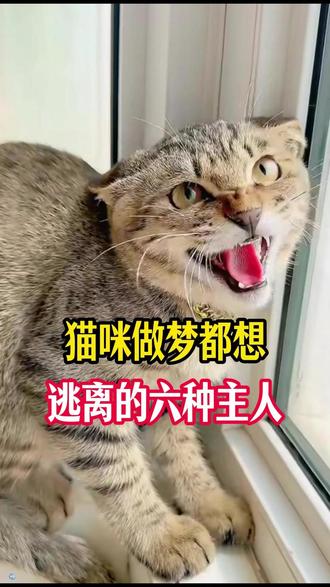 猫咪做梦都想逃离的六种主人 #猫咪 #萌宠 #养猫人 #新手养猫