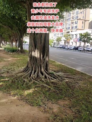 家里有正在发育期的青少年,一定要给他试试这款洗发水。#袋鼠妈妈 #洗发水 #洗发露 #清爽 #持久留香