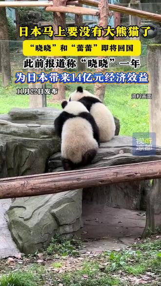 日本马上要没有大熊猫了