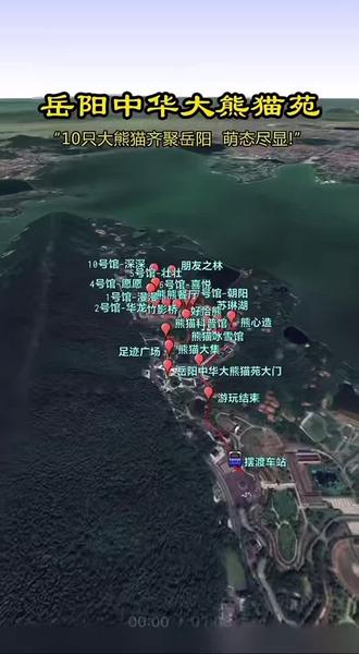岳阳中华大熊猫苑路线图#行程轨迹