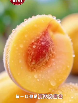 #应季水果 #新鲜采摘 #湖北枣阳黄桃@@梅花自香【14:30】 @DOU+上热门 @DOU+小助手 @上热门🔥🔥🔥