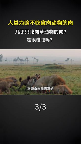 人类为啥不吃食肉动物的肉,几乎只吃肉草动物的肉?是很难吃吗? #科普 #涨知识 #食肉动物 #食草动物