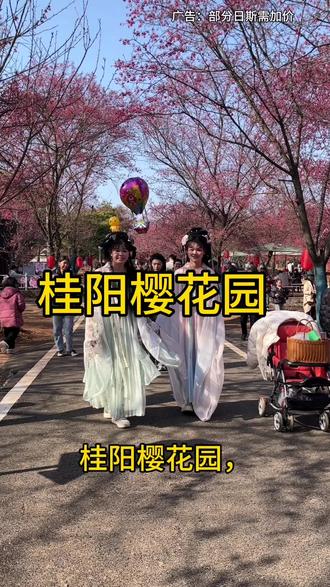 桂阳樱花园,漫山樱花盛放,穿汉服漫步花海,随手拍出古风大片,春日浪漫打卡地。