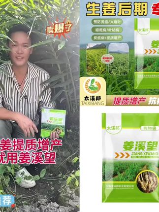 -姜溪望三颗苗后使用 提质增产 综合防治病虫害生姜专用#好物推荐#好物分享#爆款热卖中#厂家直发#超便宜超划算