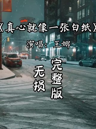 真心就像一张白纸完整版 真心就像一张白纸完整版原唱王娜#音乐分享 #伤感音乐