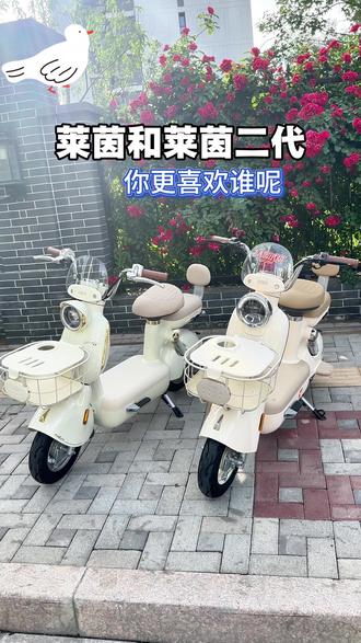 这下莱茵和莱茵二代区别在哪儿,你知道了吗!#雅迪电动车 #石家庄雅迪电动车 #雅迪摩登莱茵