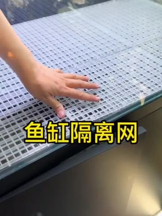 鱼缸底滤板滤材堵水垫板多功能干湿分离造景滤板可裁剪分割分层#堵水垫 #鱼缸堵水垫 #堵水垫分享 #堵水垫推荐 #多功能堵水垫