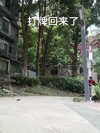 一般人猜不出来,我今天打牌赢,还是输钱