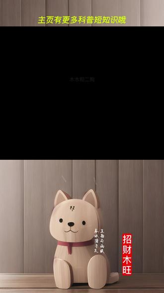 昆虫的触角有啥用呢?#昆虫 #触角 #冷知识 #涨知识了 #木木和二狗