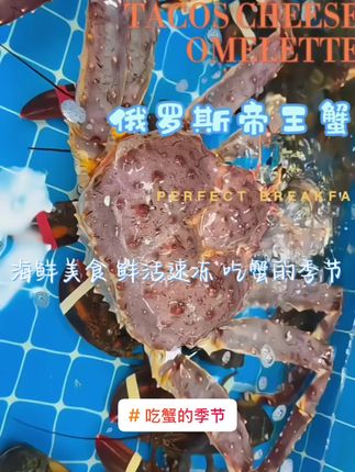 #帝王蟹 #海鲜美食 #吃蟹的季节 #海鲜水产 #海鲜自由 【俄罗斯帝王蟹】俄罗斯进口深海帝王蟹皇帝蟹鲜活速冻超大2-10斤