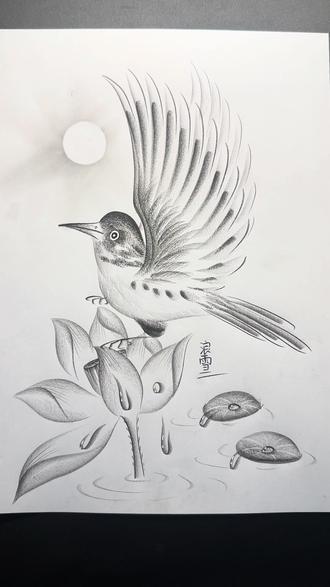 简单几笔画只可爱的小鸟#零基础学画画 #一学就会 #炭笔画鸟