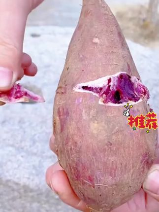 A新鲜沙地紫薯紫罗兰香甜粉糯粗粮番薯蜜薯地瓜香小紫薯5斤净重#紫薯 #番薯 #粉糯 #小紫薯 #好吃