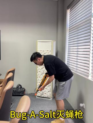 夏日玩具灭蝇神器枪枪也来大展宏图啦#男人玩具 #盐枪 #玩具枪