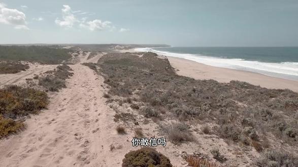 海岸悖论有多离谱?从2800公里到无限长,只是换了把尺子 分形几何的经典命题,用3分钟看懂,为什么越精细测量,结果越离谱。
#哲学思维 #悖论 #烧脑 #思考 #颠覆你的认知