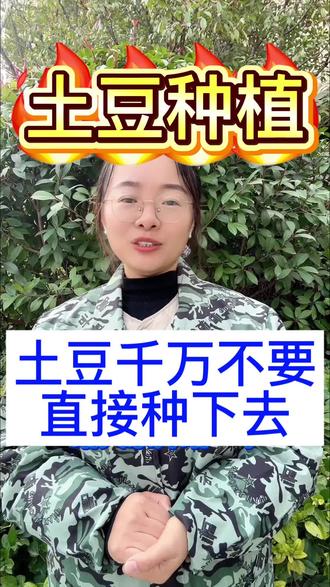 土豆千万不要直接种下去#土豆 #土豆种植 #土豆管理 #三农 #三农种植