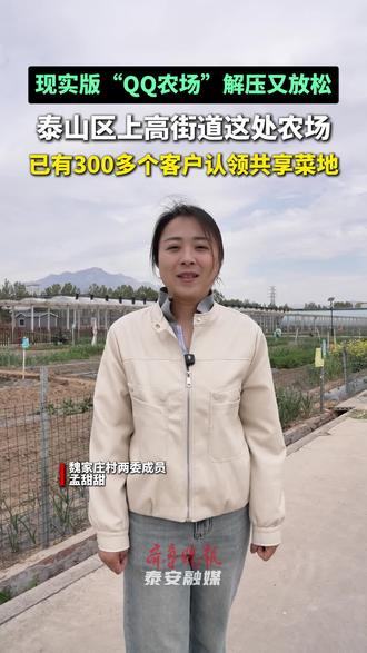 现实版“QQ农场”解压又轻松,泰山区上高街道这处农场已有300多个客户认领共享菜地#共享菜地 #泰山区
