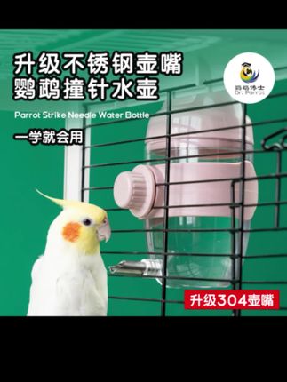 可爱鸟也是很配合我的 😬😬#手养鹦鹉 #鹦鹉日常 #鹦鹉🦜 #日常分享