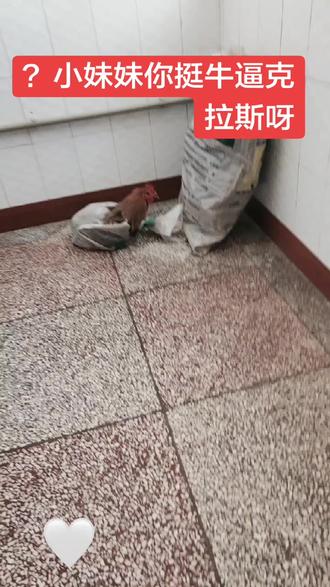 小妹妹,你挺牛逼可拉斯呀