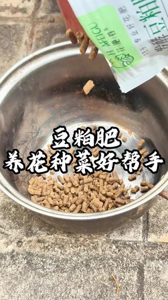 豆粕肥这么用,效果倍增#家庭种植#有机肥#豆粕肥