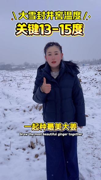 大雪来袭,封井窖提上日程,根据恒定温度,随时准备封井。#大姜种植 #生姜种植 #大姜 #生姜