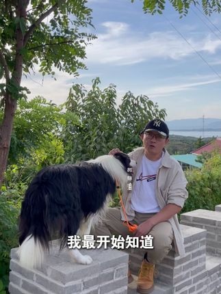 采访七大姑对狗粮真实的感受 #骏良 #明亮与狗狗粮 #养狗人 #宠物 #狗狗