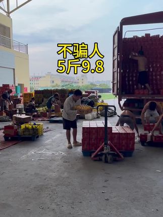 #芒果 #台农芒果