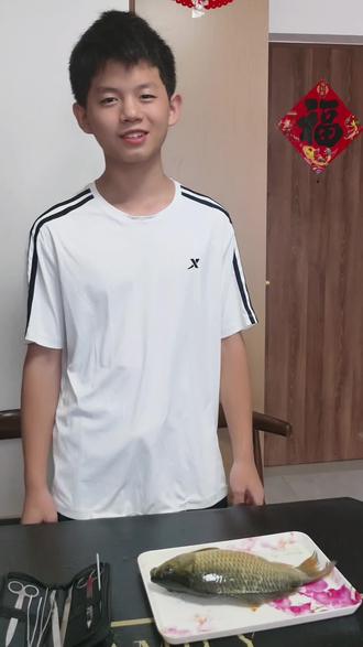 生物解剖鲫鱼#来吃鱼