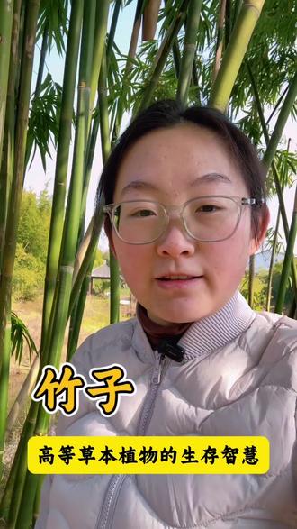 看起来直冲云霄高大挺拔的竹子,竟然是世界上最大的草,是不是很意外呢?#竹子 #植物科普#自然教育