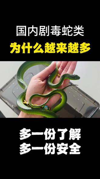 为什么国内剧毒蛇类越来越多#蛇百科 #毒蛇百科 #毒蛇排行榜 #驱赶