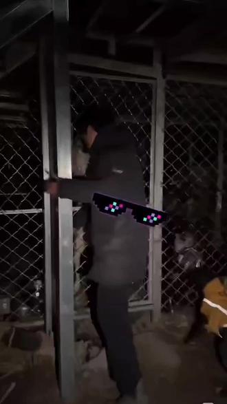 骏良12月15日直播 你们发展小虎和豆豆的秘密了吗?#骏良